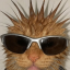 Author avatar