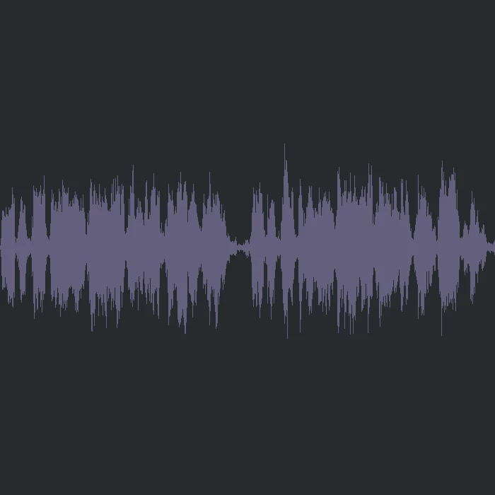 New Order - Confusion Vocoder